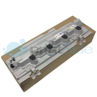 IMG_5381-removebg Малый.jpeg