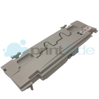 IMG_5390-removebg Малый.jpeg